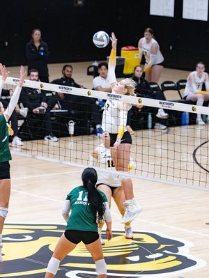 Image post by @gabriella_rae_photography on Instagram