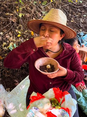 Image post by @divis_oaxaquena on Instagram