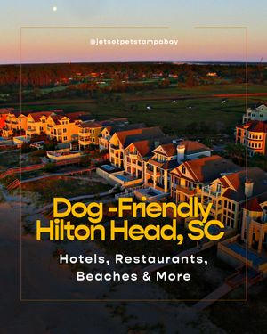 Image post by @jetsetpets on Instagram