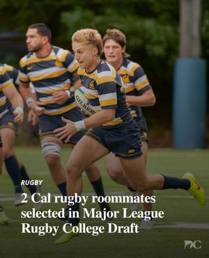 Image post by @dailycalsports on Instagram