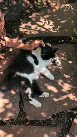 Video post by @filmbychloeg on TikTok