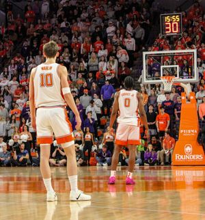 Image post by @cutigervision on Instagram