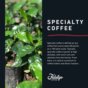 Image post by @fidalgocoffee on Instagram