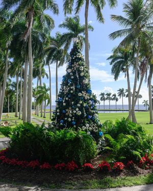 Image post by @deeringestate on Instagram