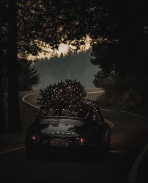 Image post by @charlotteindiamimi on Instagram