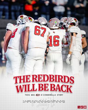 Image post by @RedbirdFB on Twitter