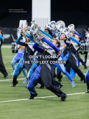 Image post by @thebluedevils on Instagram