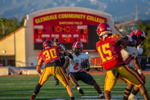 Image post by @zoeneumer on Instagram