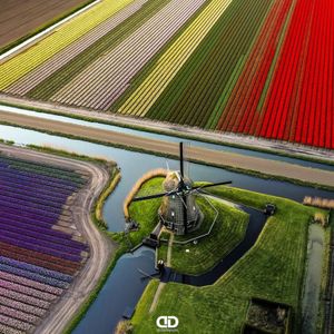 Image post by @droneartgallery on Instagram