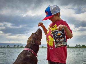 Image post by @tenderbelly on Instagram