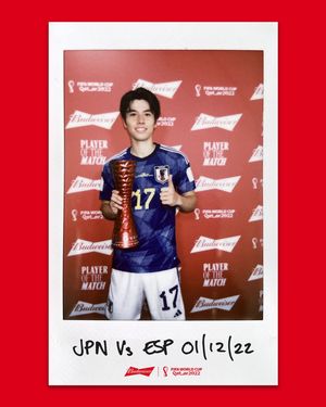 Image post by @fifaworldcup on Instagram