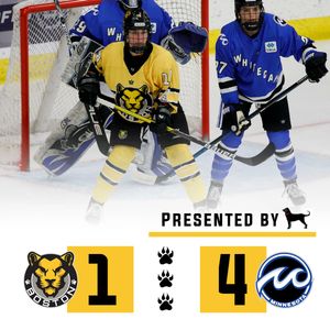 Image post by @TheBostonPride on Twitter