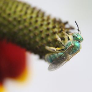 Image post by @butterflypavilion on Instagram