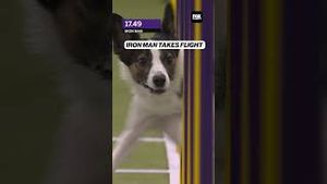 Video post by @foxsports on YouTube