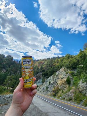 Image post by @meltingforest on Instagram