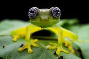 Image post by @natgeo on Instagram