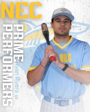 Image post by @liubaseball on Instagram