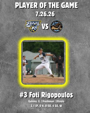 Image post by @burlington_bees on Instagram