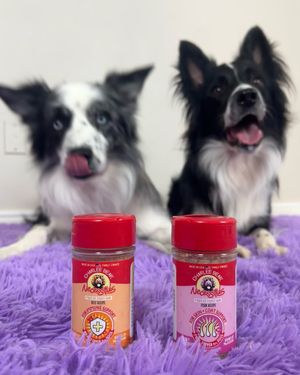 Image post by @charlee_bear_dogtreats on Instagram