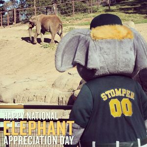 Image post by @athletics on Instagram