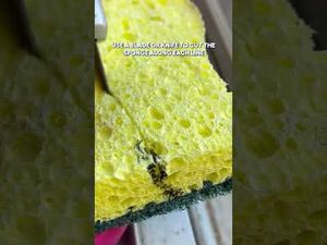 Video post by @lowes on YouTube