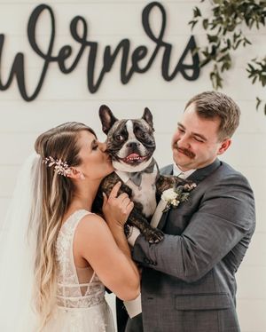 Image post by @maggiesotterodesigns on Instagram