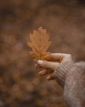 Image post by @kate.simple.life on Instagram
