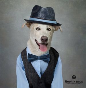 Image post by @GoorinBros on Twitter