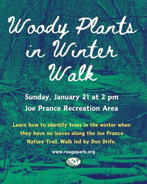 Image post by @DetroitParksRec on Facebook