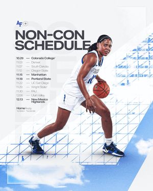 Image post by @AF_WBB on Twitter