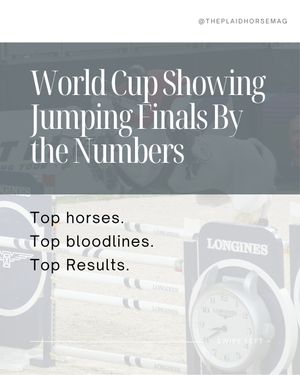 Image post by @theplaidhorsemag on Instagram