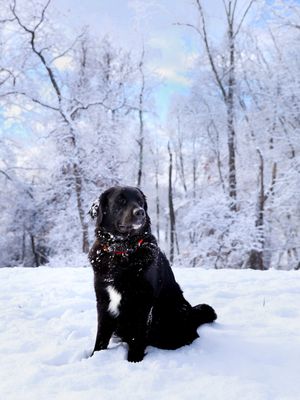 Image post by @canonusa on Instagram