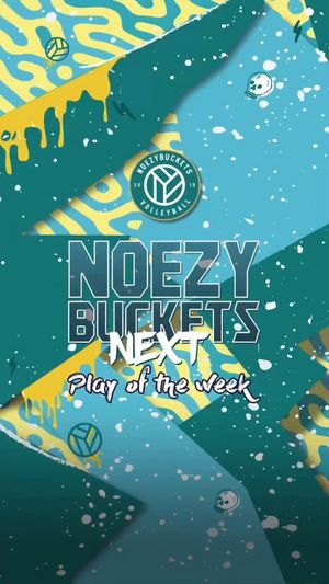 Image post by @noezybuckets on Instagram