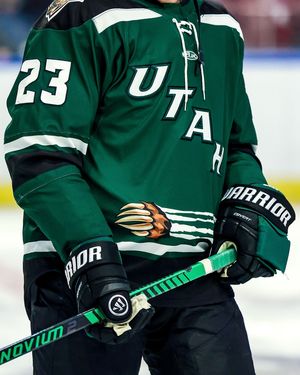 Image post by @utahgrizzlies on Instagram