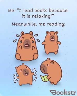 Image post by @bookstrofficial on Instagram