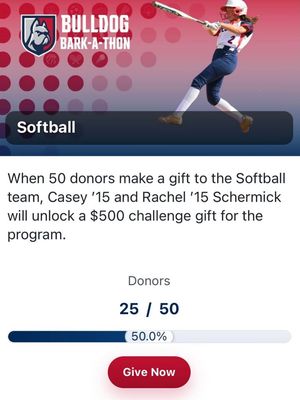 Image post by @DeSalesUniversitySoftball on Facebook