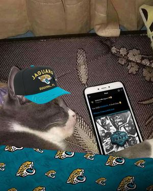 Image post by @jaguars on Instagram