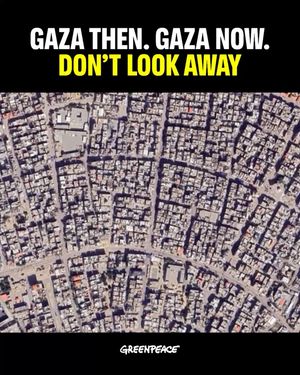 Image post by @greenpeace on Instagram