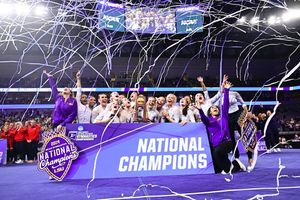 Image post by @lsugym on Instagram