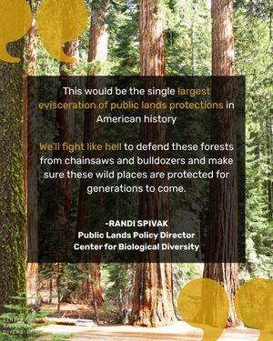 Image post by @centerforbiodiv on Instagram