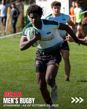 Image post by @theocaa on Instagram