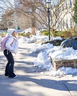 Image post by @hofstrau on Instagram