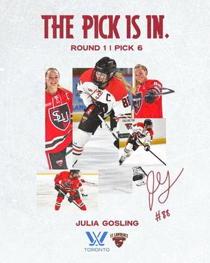 Image post by @slusaintshockey on Instagram