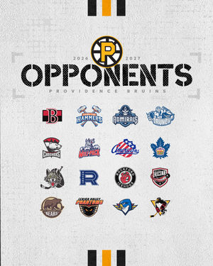 Image post by @ahlbruins on Instagram