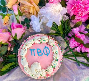 Image post by @usdpibetaphi on Instagram