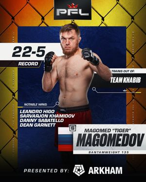 Image post by @pflmma on Instagram