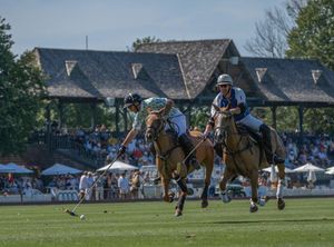 Image post by @greenwichpoloclub on Instagram