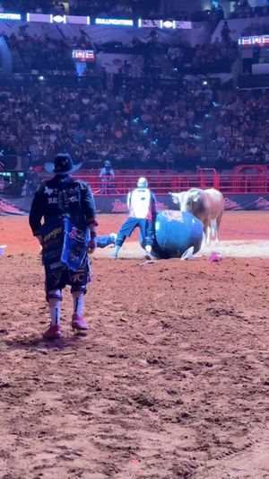 Video post by @sarodeo on Facebook