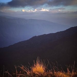 Image post by @dhritimanlahiri on Instagram