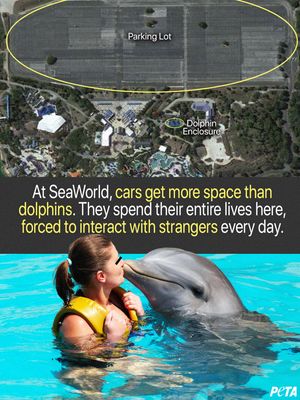 Image post by @peta on Instagram